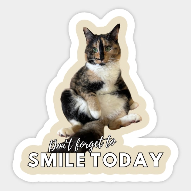 Snickers The Cat - Don't Forget to Smile Today Sticker by SnickersTheSmilingCat